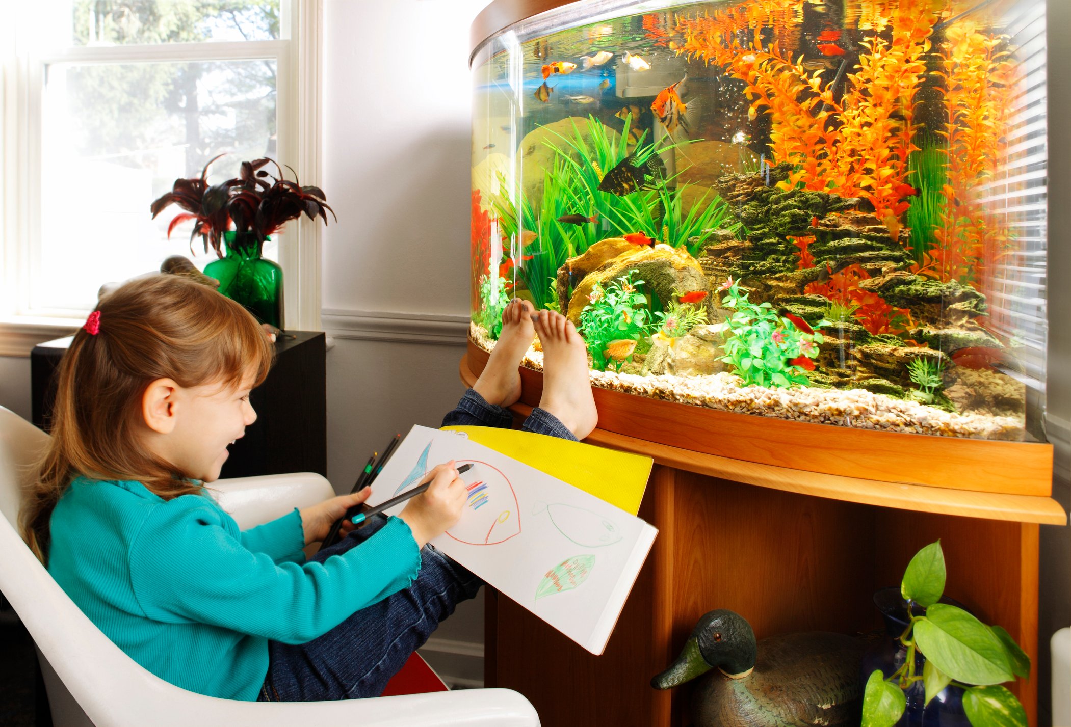 Kids goldfish tank best sale